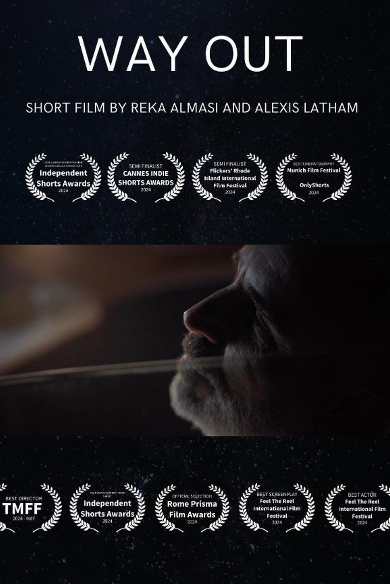 Poster of Way Out