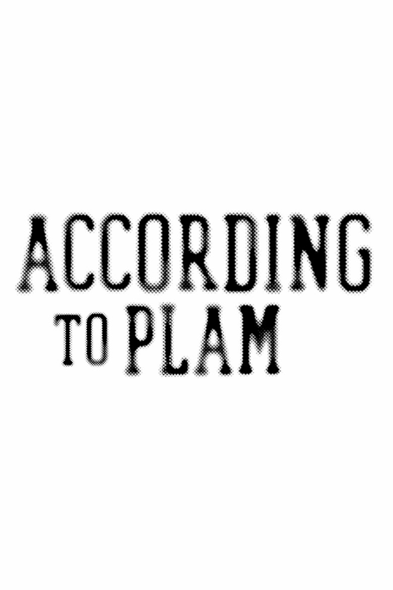 Poster of According to Plam