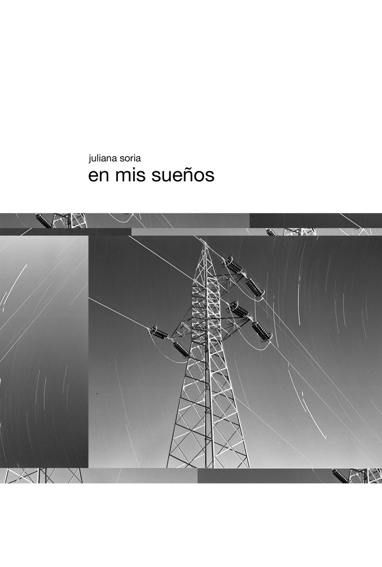 Poster of En mis sueños