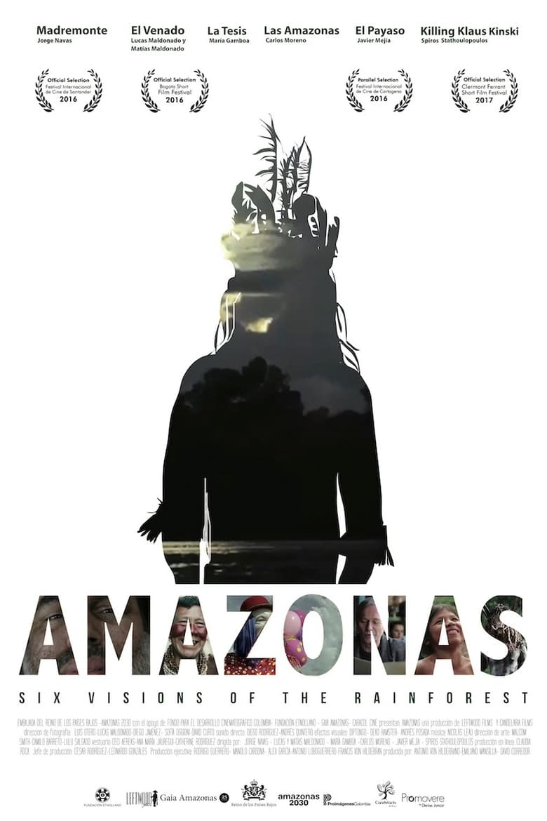 Poster of Amazonas