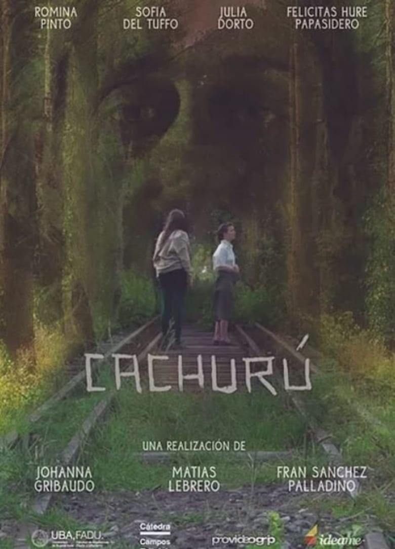 Poster of Cachurú