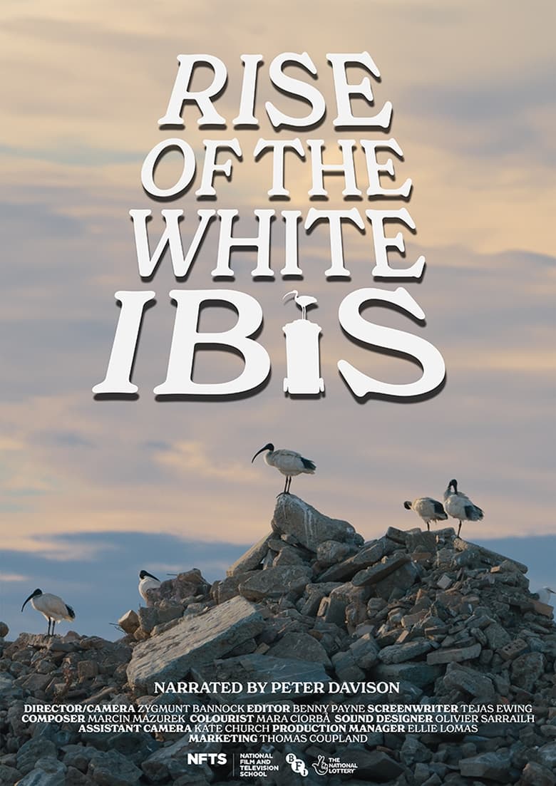 Poster of Rise of the White Ibis