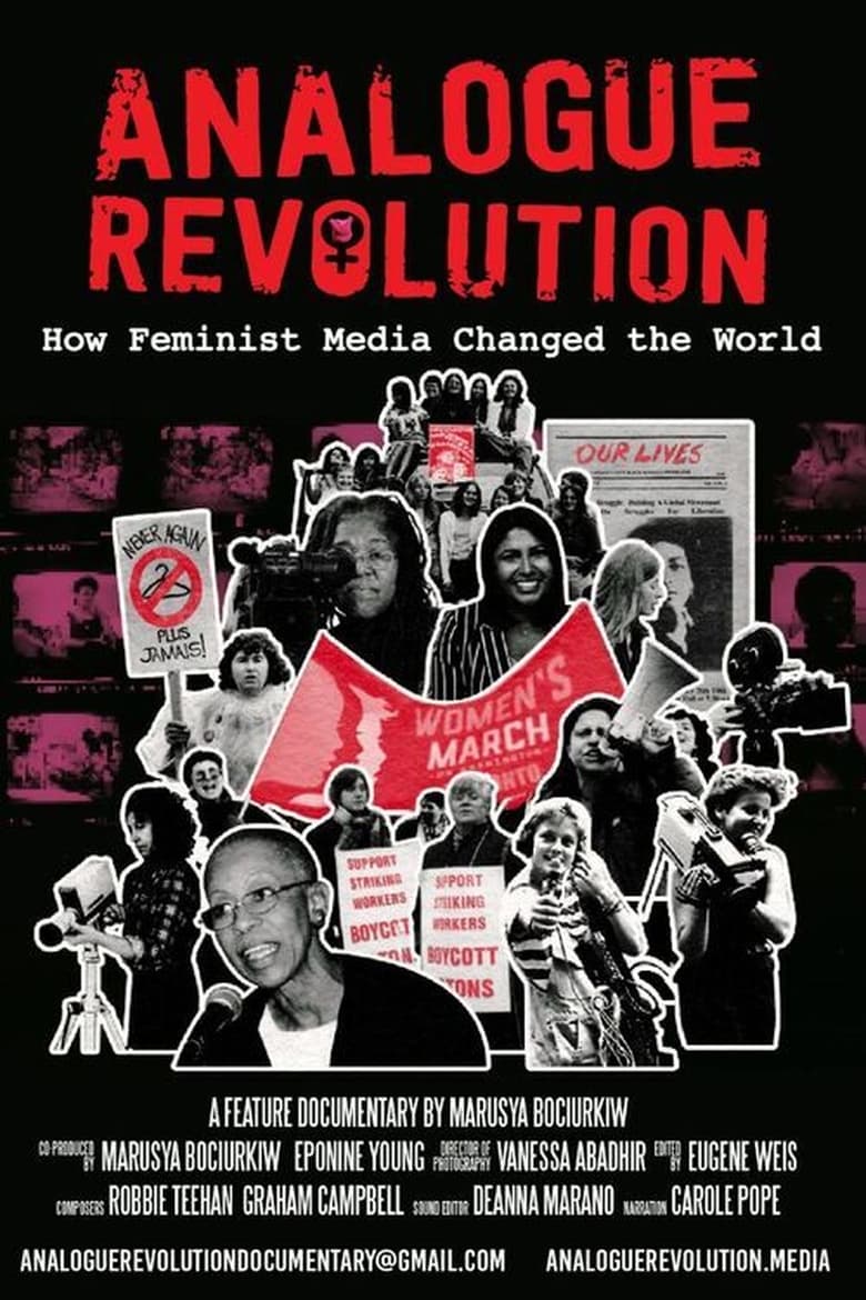 Poster of Analogue Revolution: How Feminist Media Changed the World