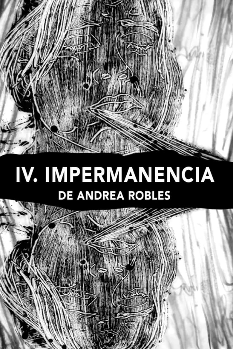 Poster of IV Impermanence