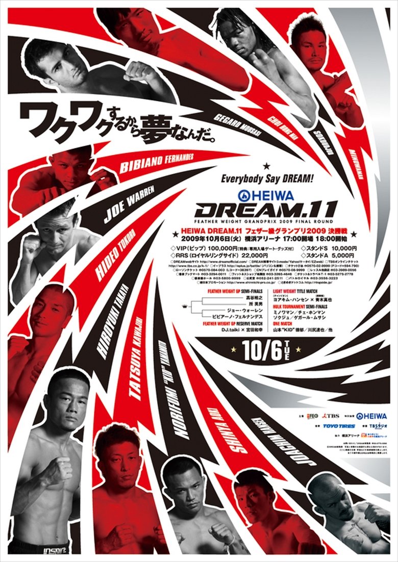 Poster of DREAM 11