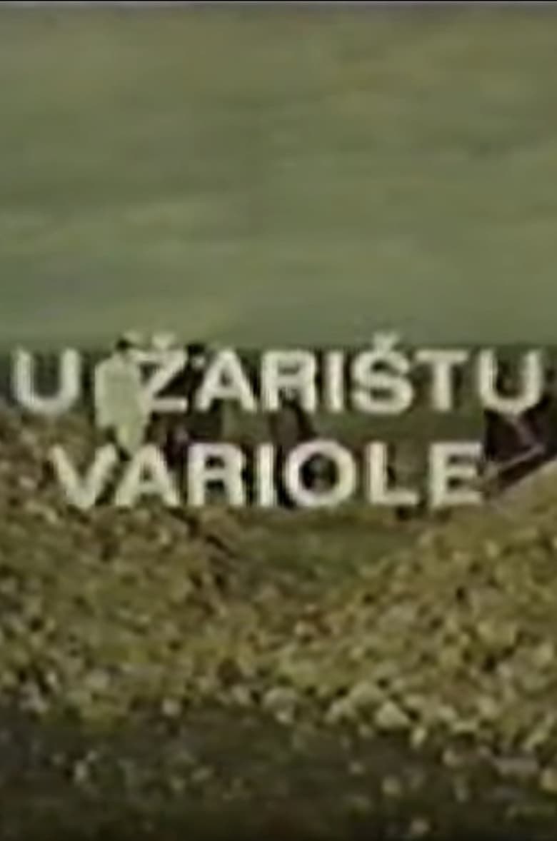 Poster of In the Hotspot of Variola