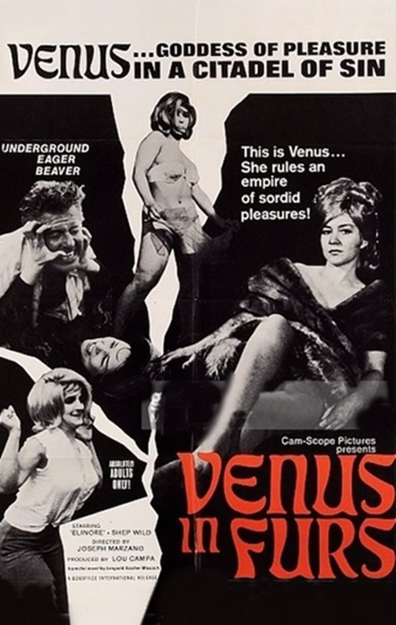 Poster of Venus in Furs