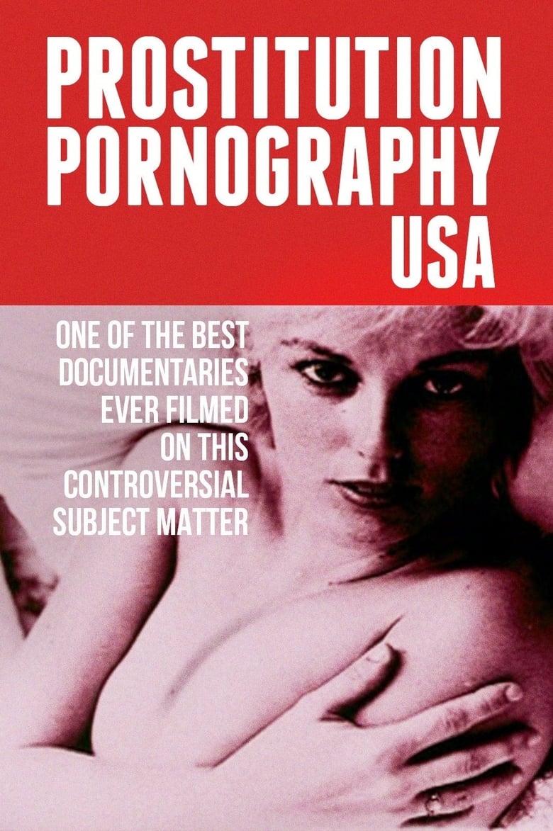 Poster of Prostitution Pornography USA