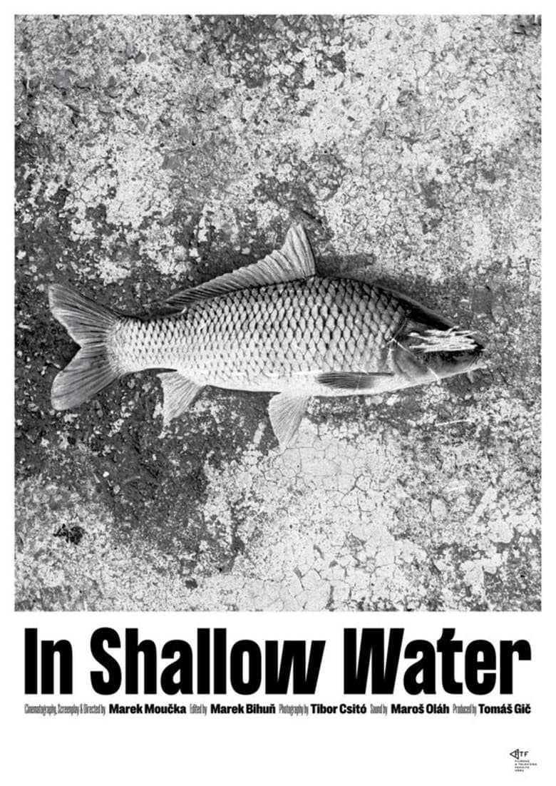 Poster of In Shallow Water