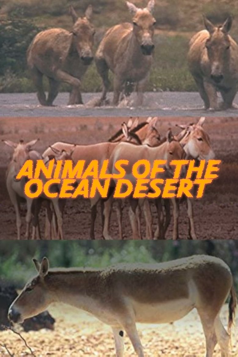 Poster of Animals of the Ocean Desert