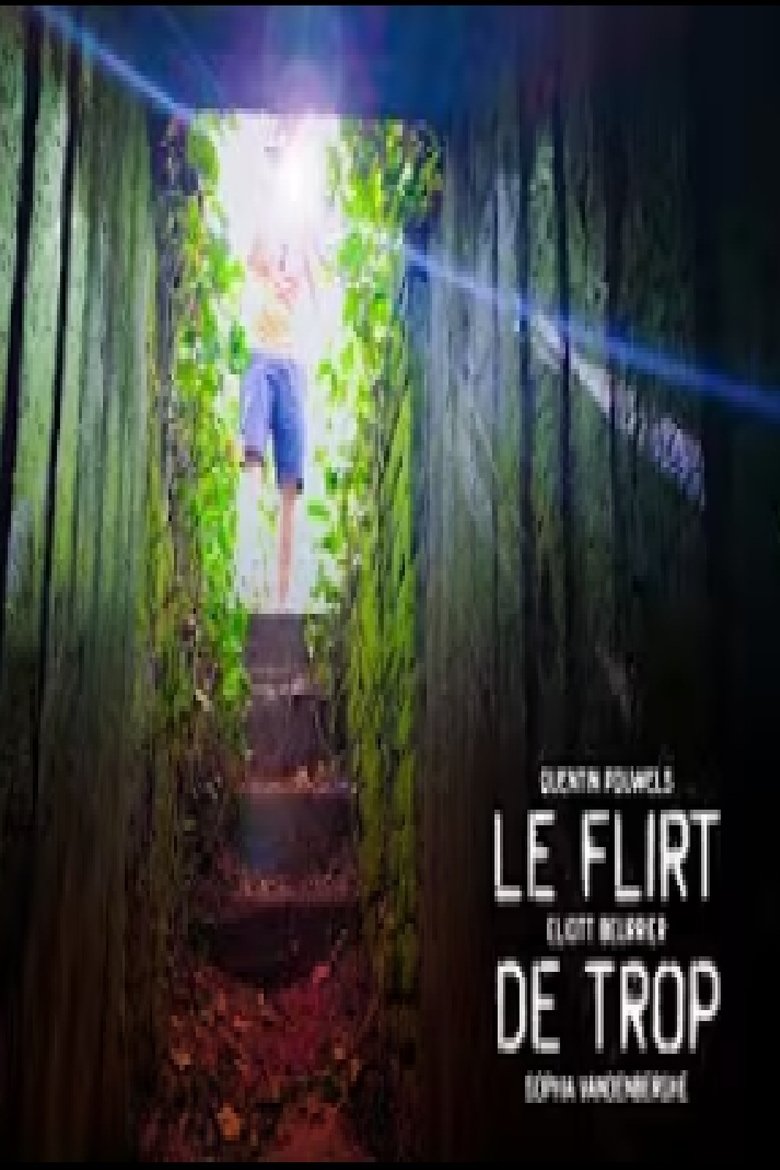 Poster of Le flirt de trop