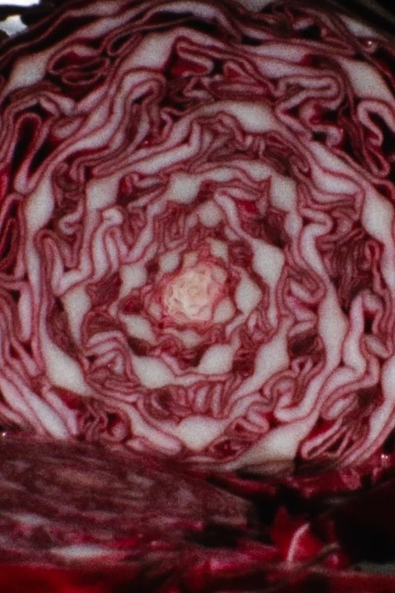 Poster of Cabbage