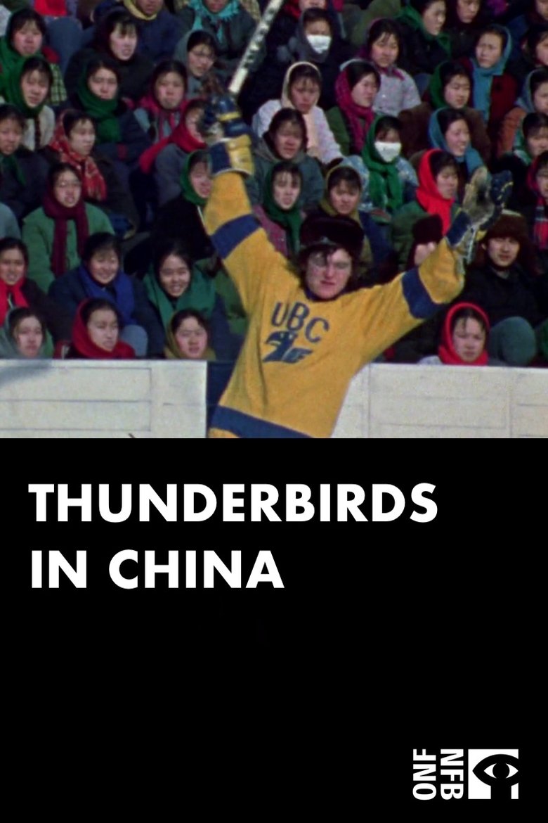 Poster of Thunderbirds in China