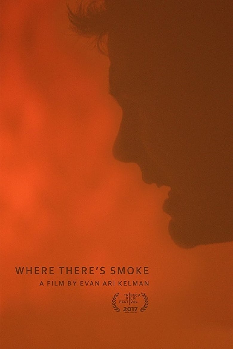 Poster of Where There's Smoke