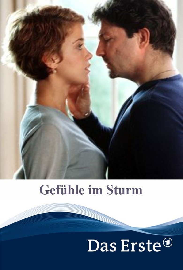 Poster of Gefühle im Sturm