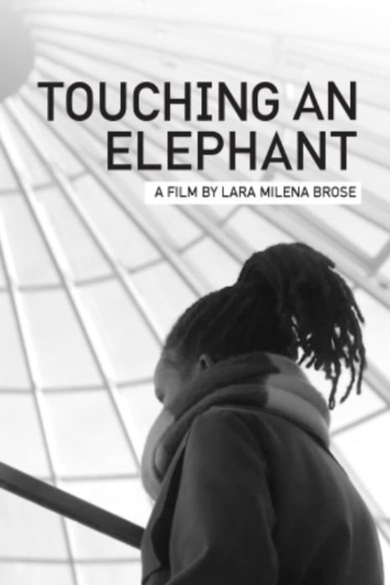 Poster of Touching An Elephant