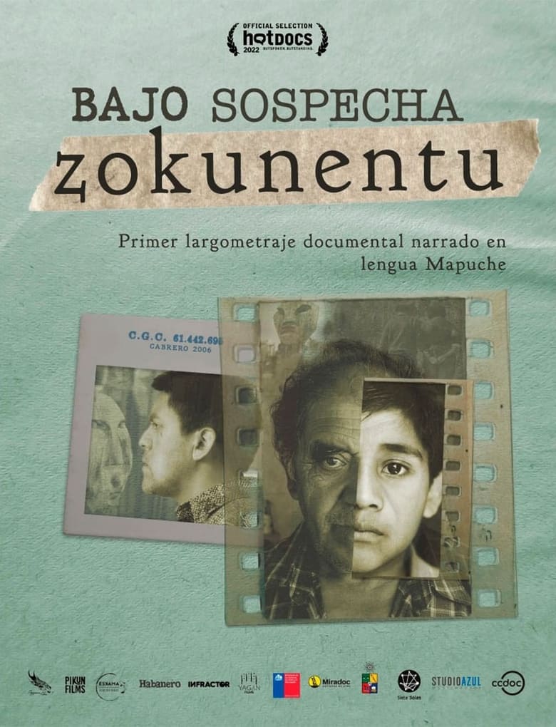 Poster of Bajo sospecha: Zokunentu