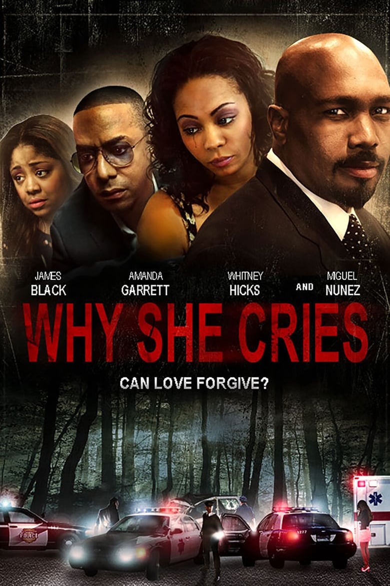 Poster of Why She Cries