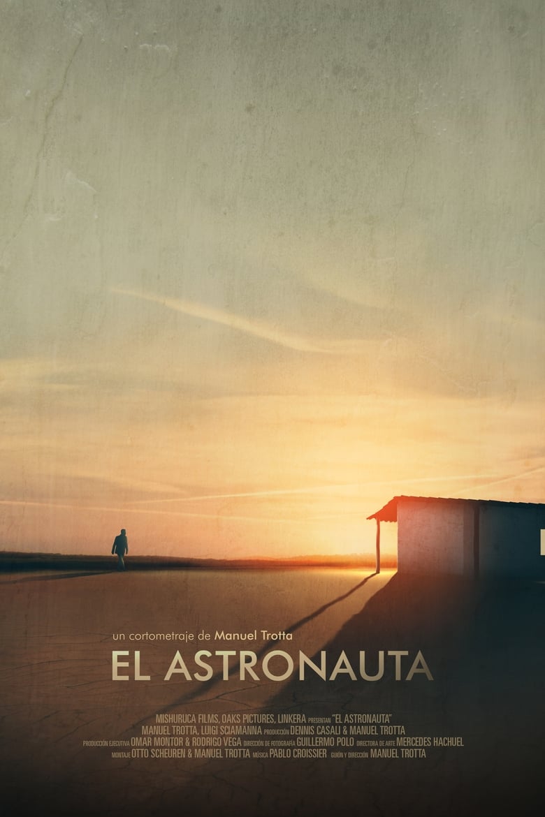 Poster of The Astronaut