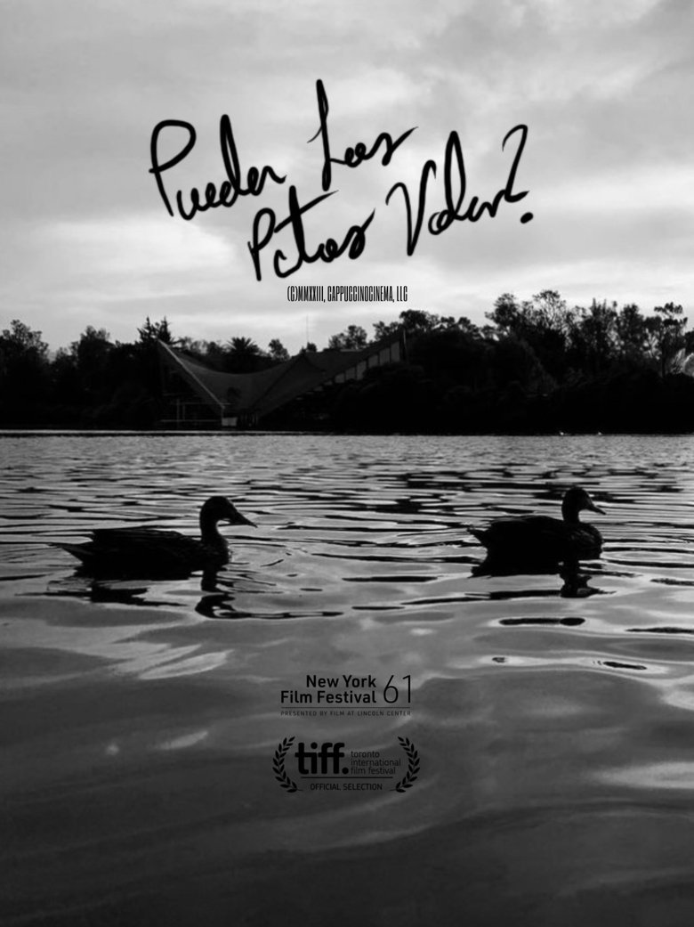 Poster of Can Ducks Fly?