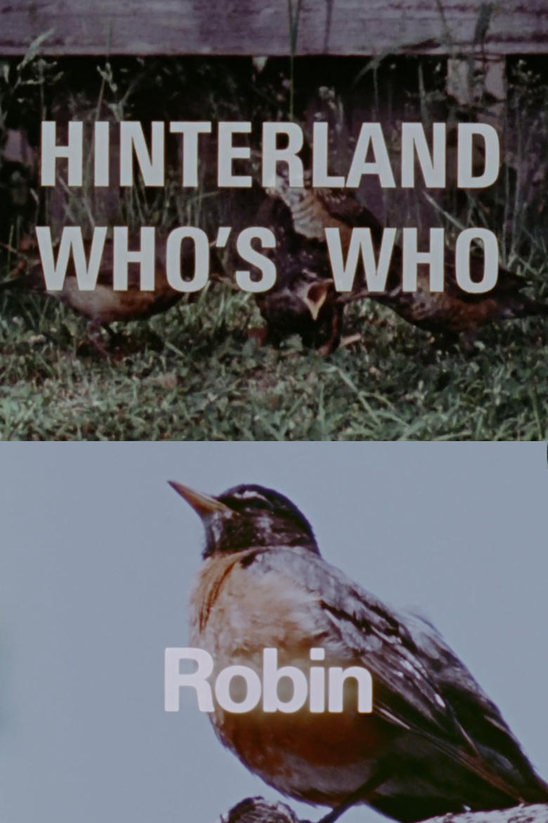 Poster of Hinterland Who's Who: Robin