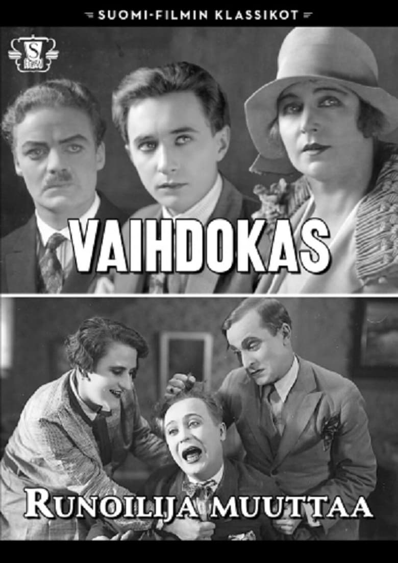 Poster of Vaihdokas