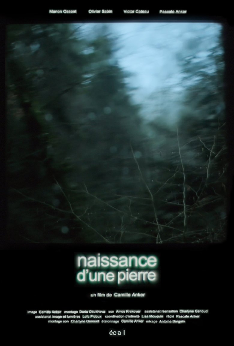 Poster of Naissance d'une pierre