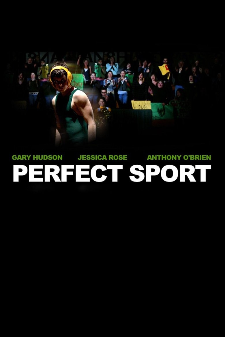Poster of Perfect Sport