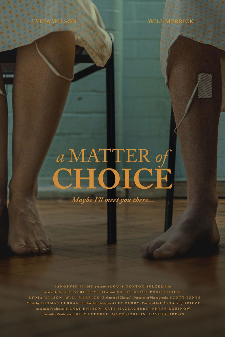 Poster of A Matter of Choice