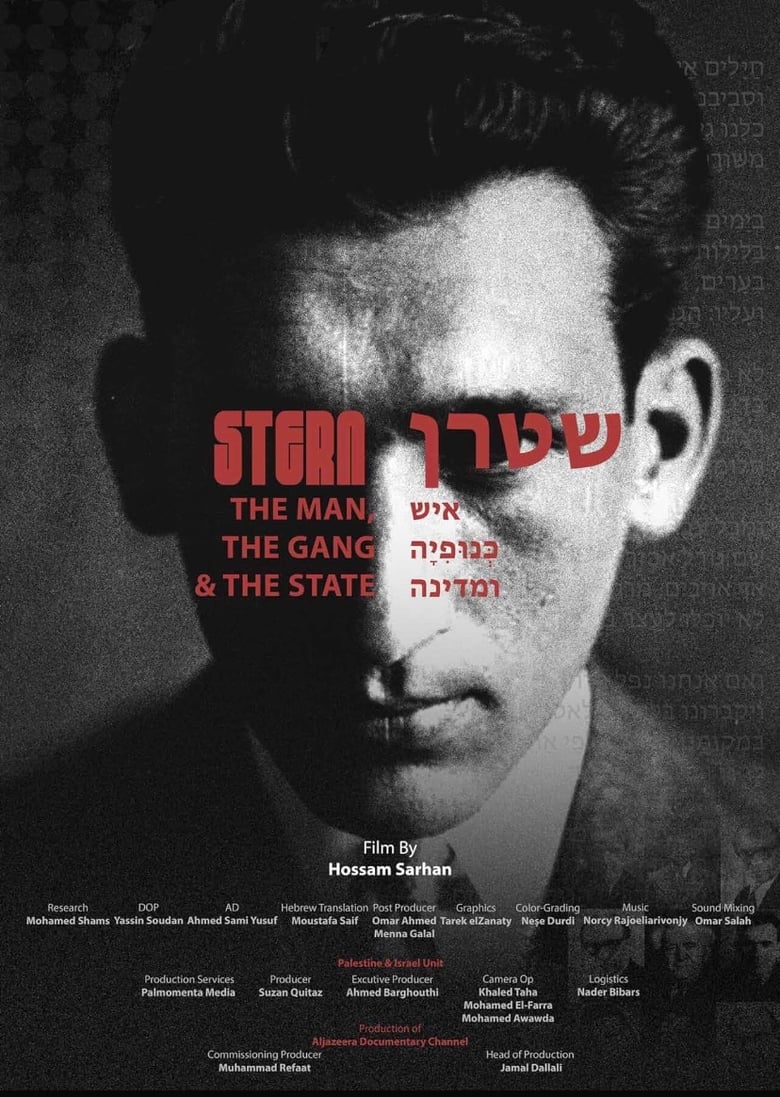 Poster of Stern: The Man, the Gang, and the State