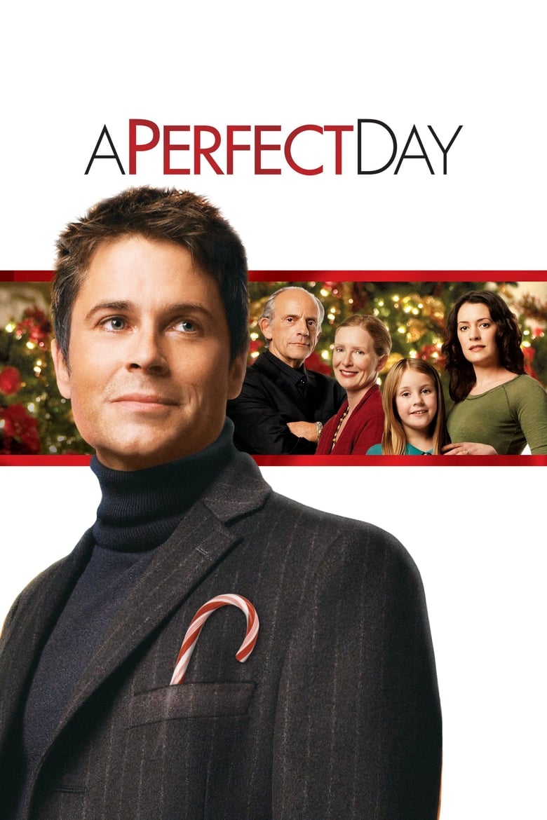 Poster of A Perfect Day