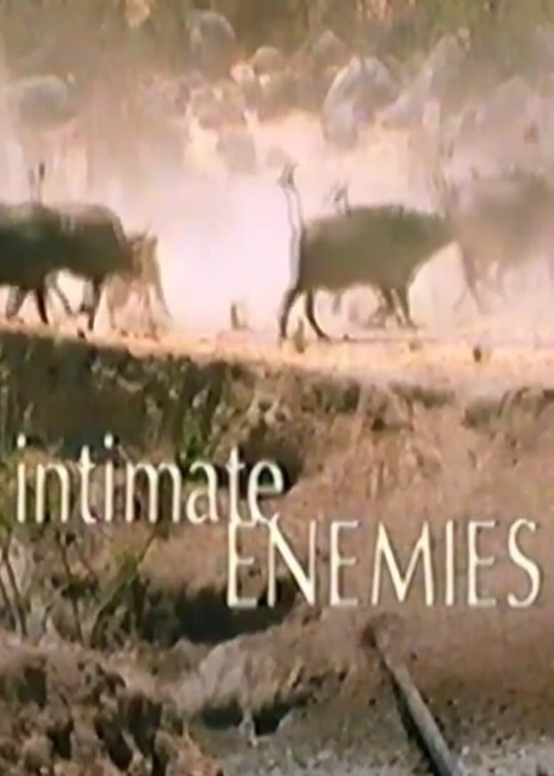 Poster of Intimate Enemies