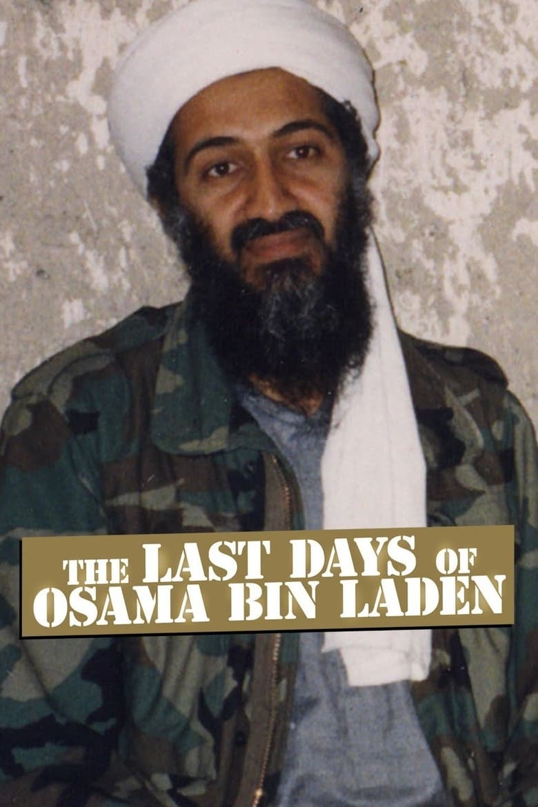 Poster of The Last Days of Osama Bin Laden