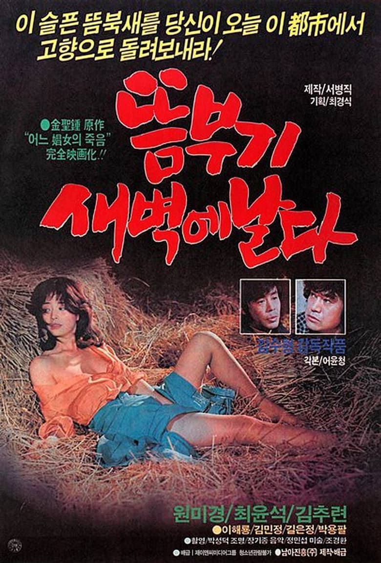 Poster of 뜸부기 새벽에 날다