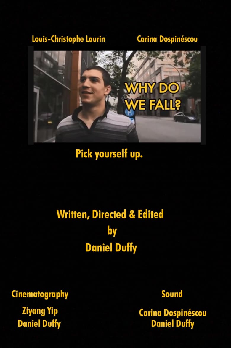 Poster of Why Do We Fall?