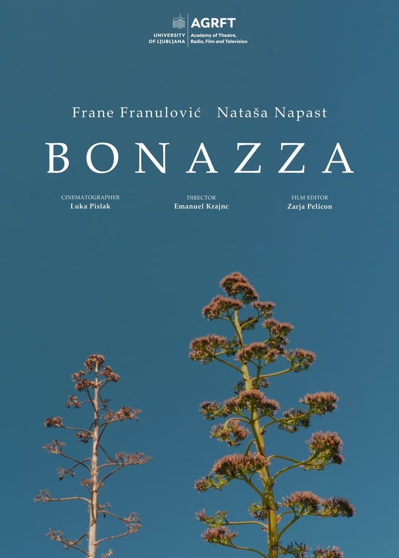 Poster of Bonazza