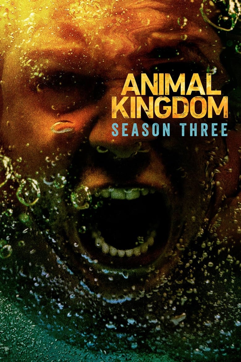 Poster of Episodes in Animal Kingdom - Season 3 - Season 3