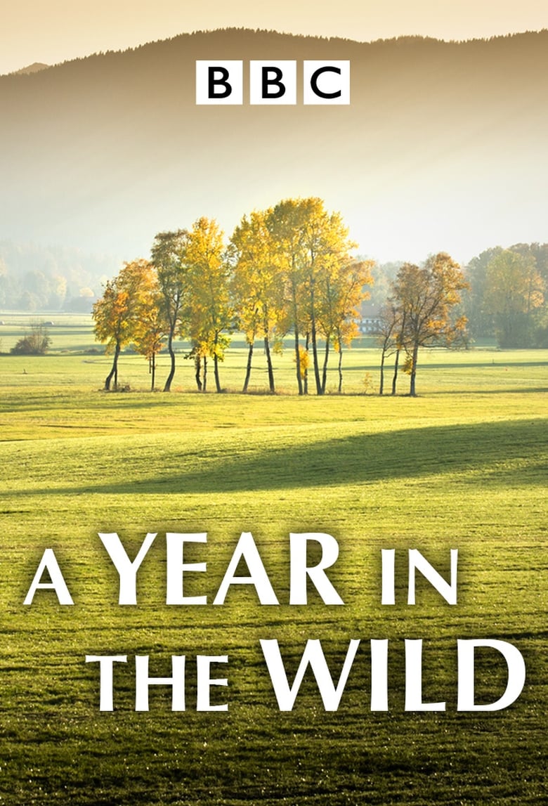 Poster of A Year in the Wild