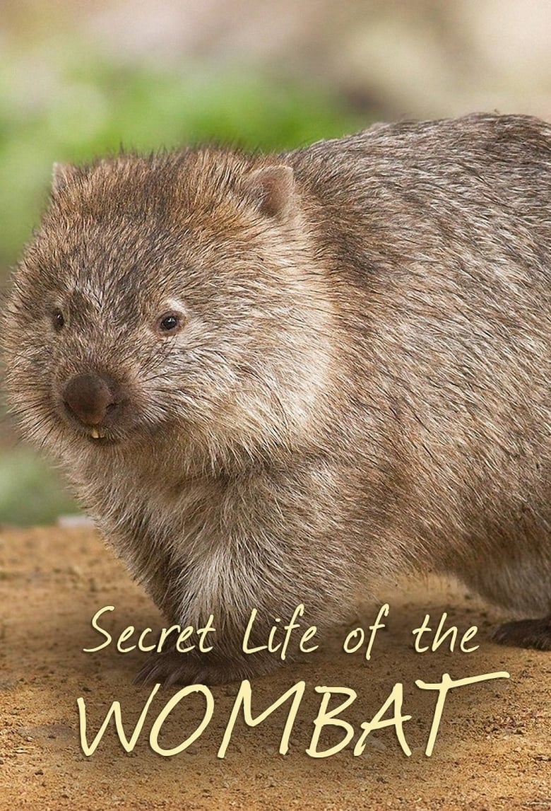 Poster of Episodes in Secret Life Of The Wombat - Season 1 - Season 1