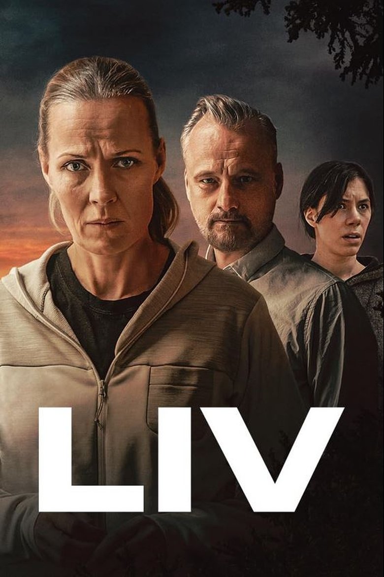 Poster of Liv
