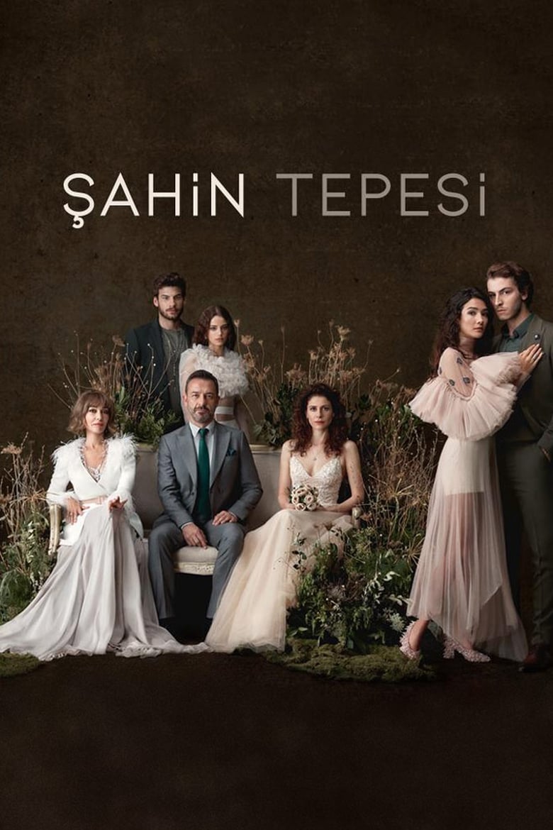 Poster of Şahin Tepesi