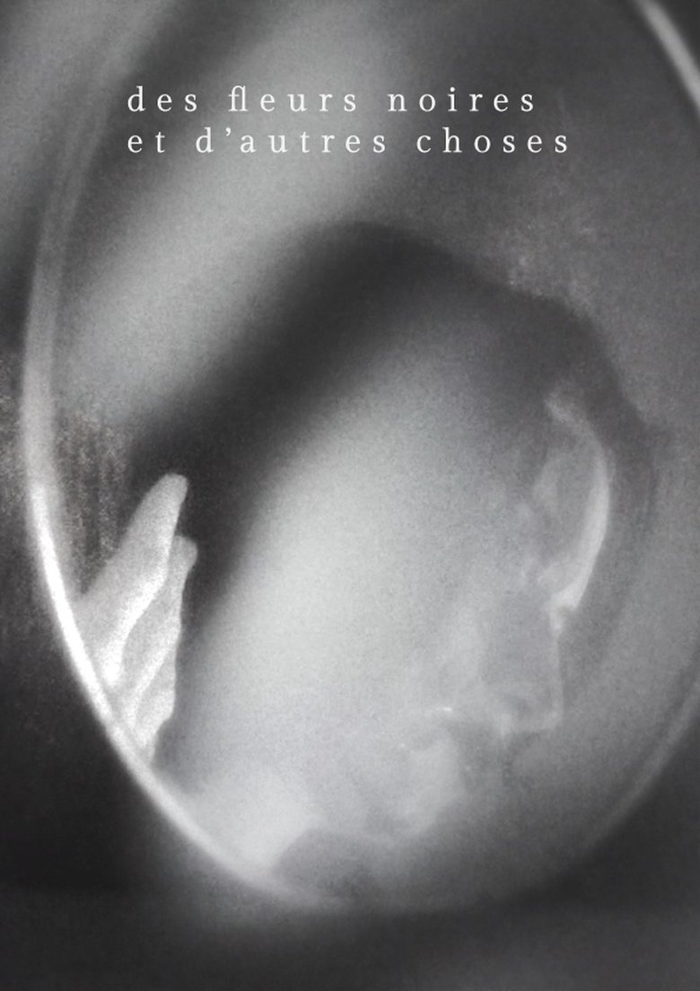 Poster of Des fleurs noires et d'autres choses