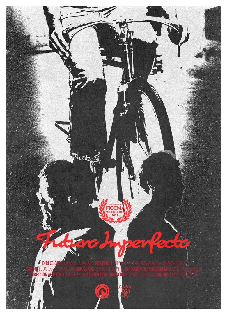 Poster of Imperfect Future