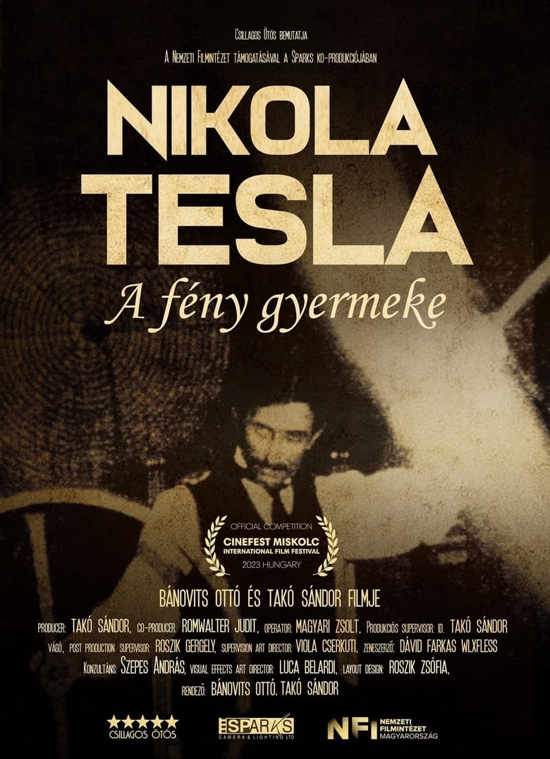 Poster of Nikola before Tesla