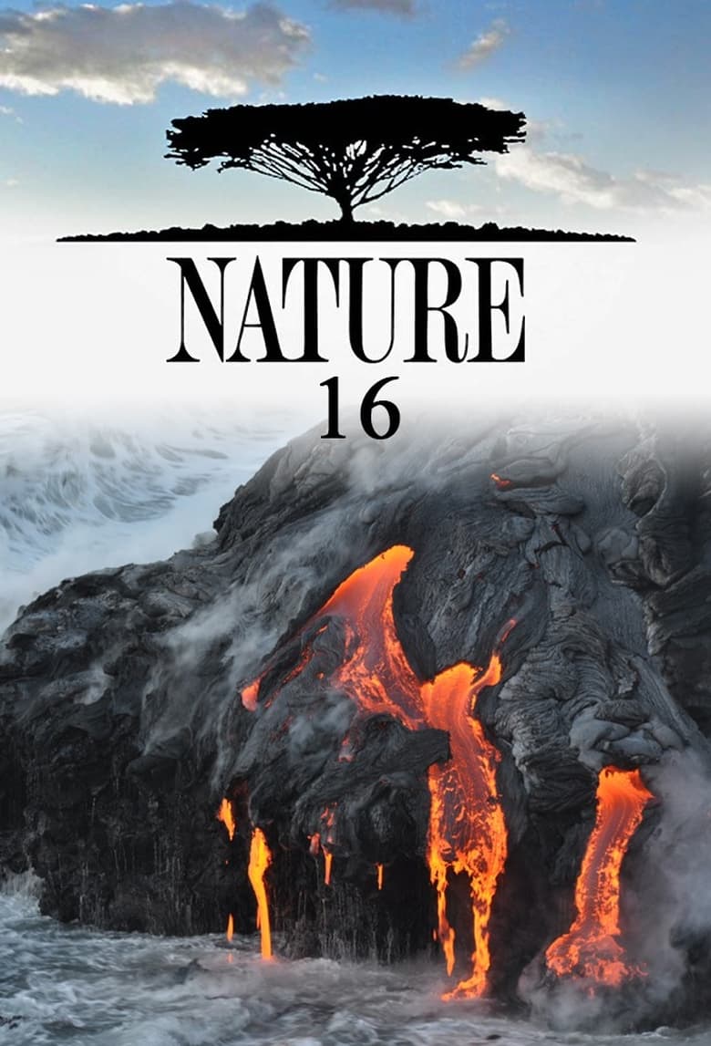 Poster of Cast and Crew in Nature - Season 16 - Episode 10 - Forces of the Wild: In the Beginning