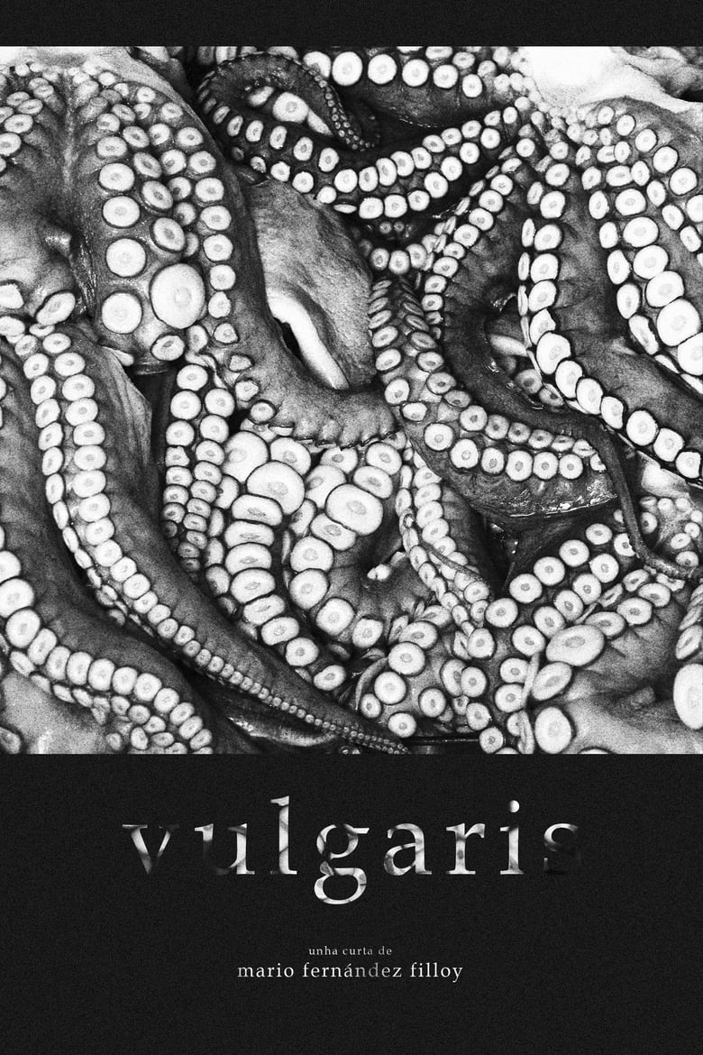 Poster of Vulgaris