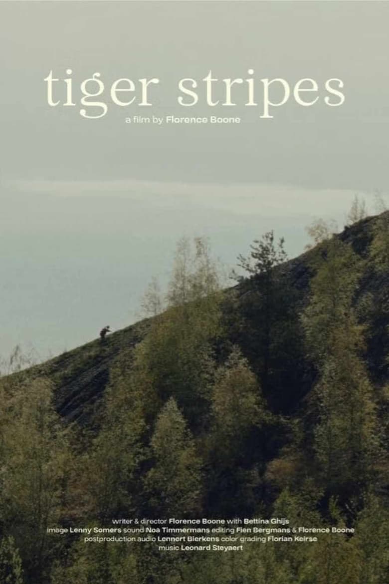 Poster of Tiger Stripes