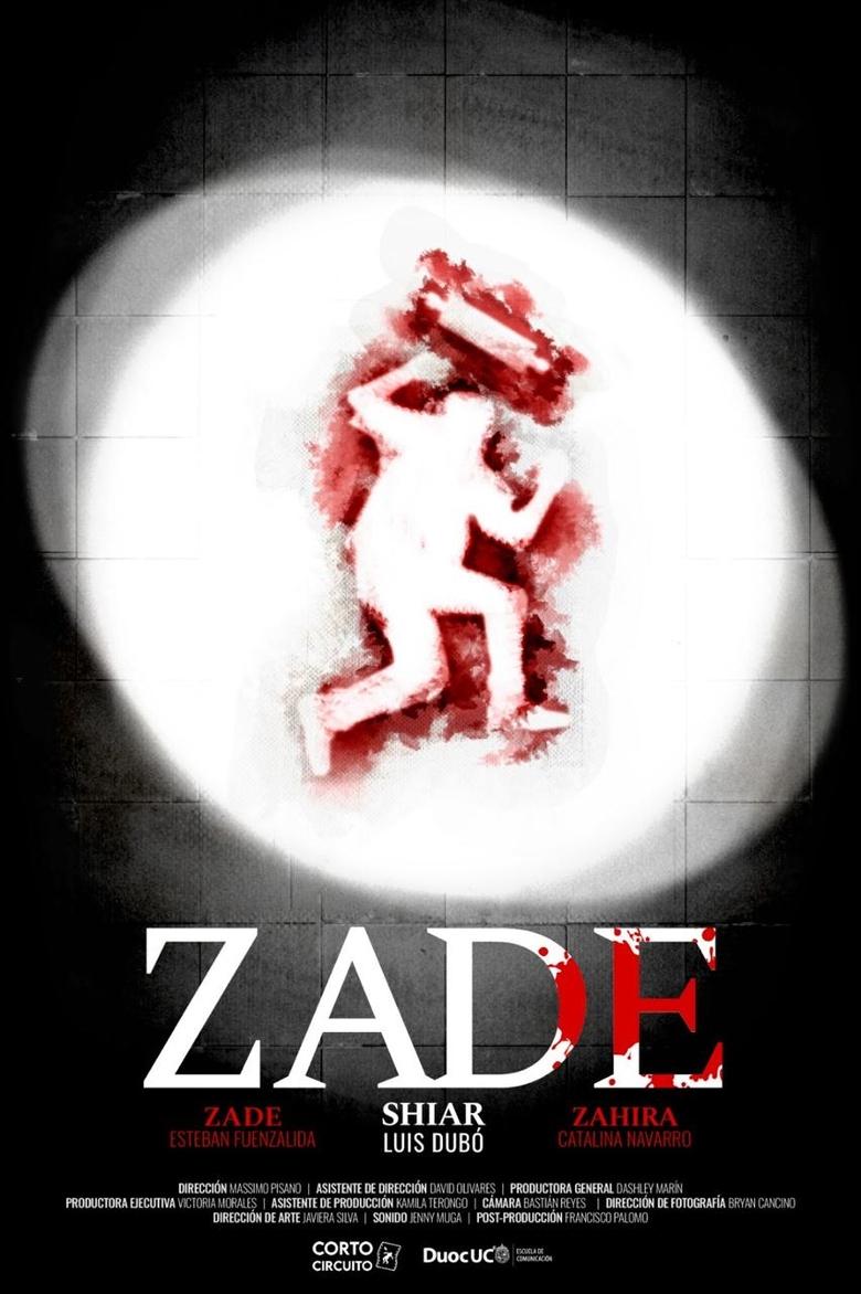 Poster of Zade