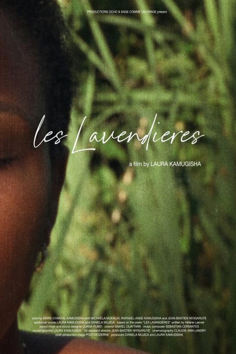 Poster of Les Lavandières