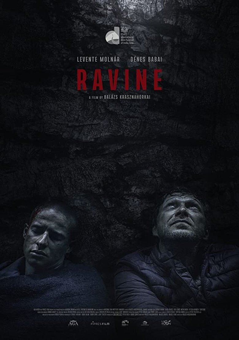 Poster of Ravine